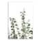 Watercolor Eucalyptus 20" x 30" Canvas Wall Art